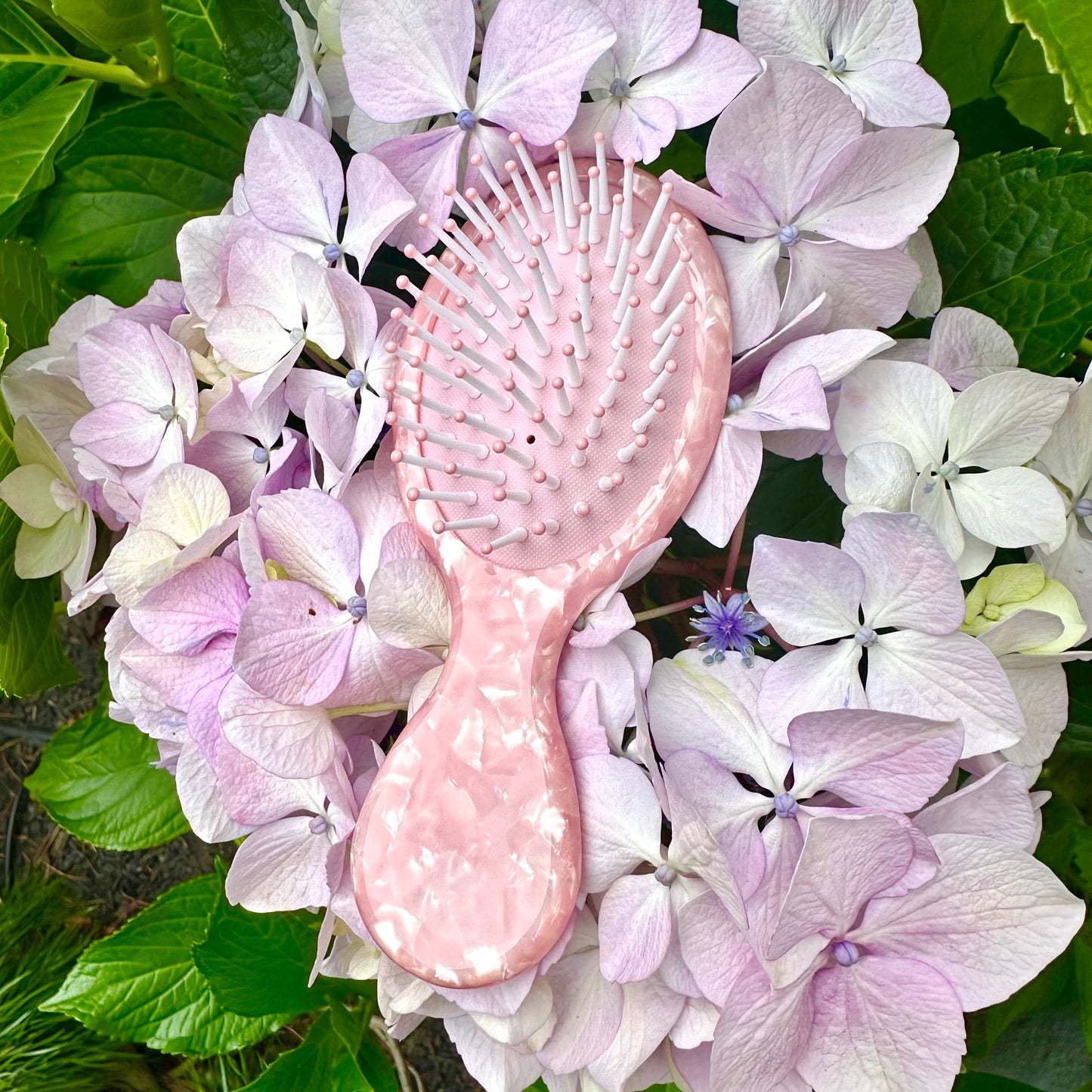 Cunty Mini Hairbrush