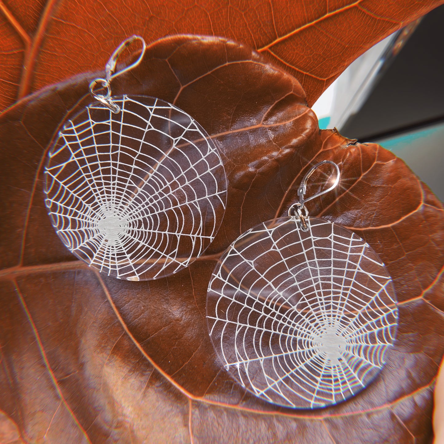 Tangled Web