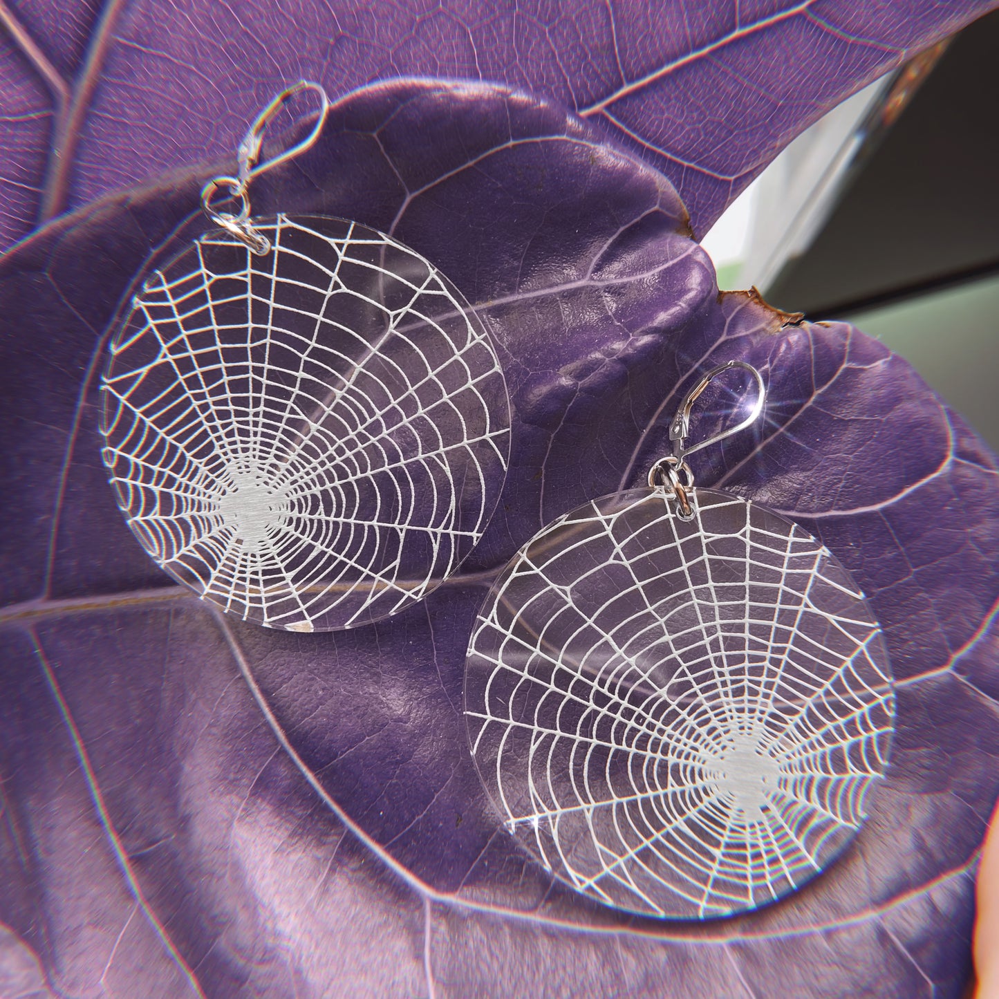 Tangled Web