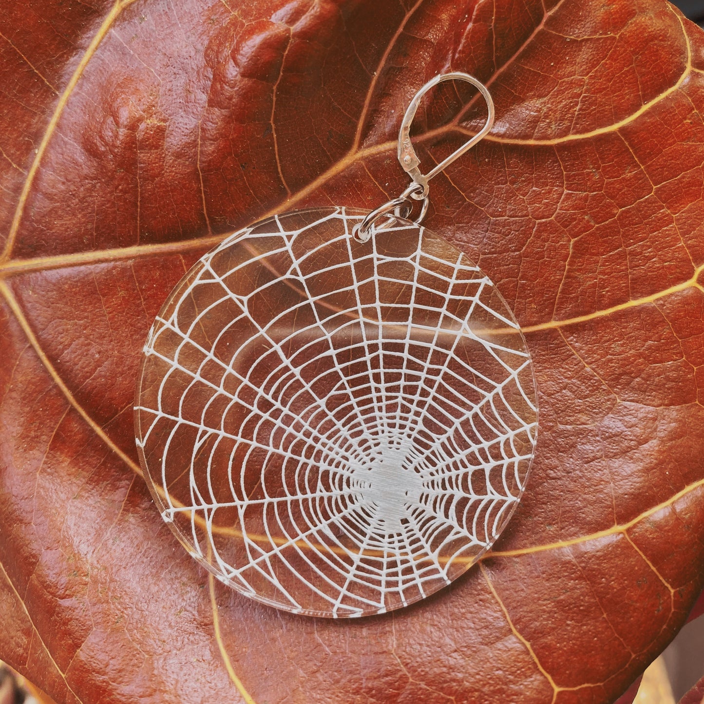 Tangled Web