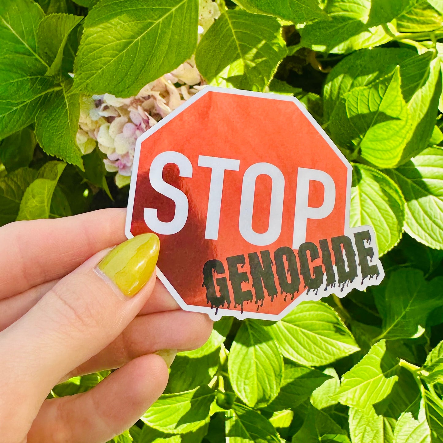 Stop Genocide Sticker
