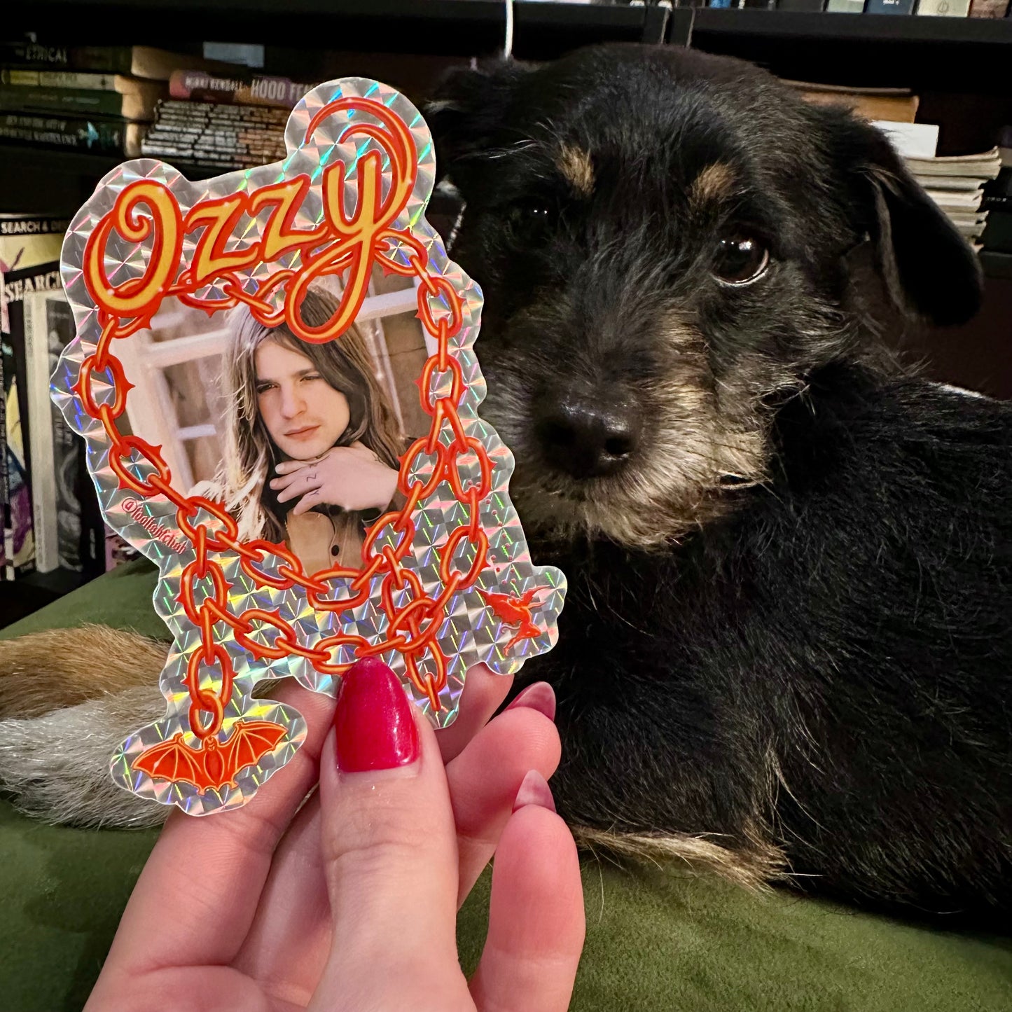 Dog sitting next to a person holding a decorative mirror with 'Ozzie' on it.